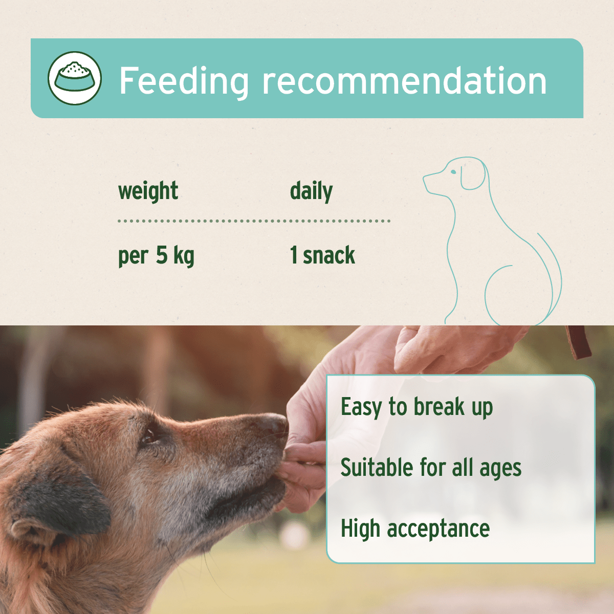 AniForte® Dental Snack - AniForte UK