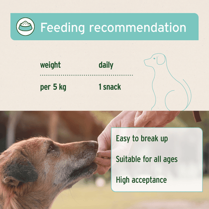 AniForte® Dental Snack - AniForte UK