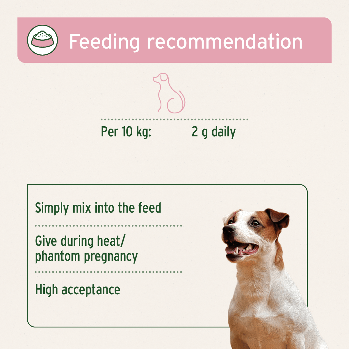 AniForte® Hormone Balance - For Female Dogs - AniForte UK