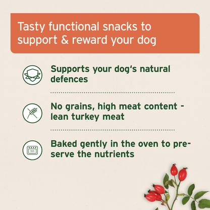 AniForte® Immunity Snack 300g - AniForte UK