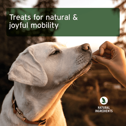AniForte® Joint Snack - AniForte UK