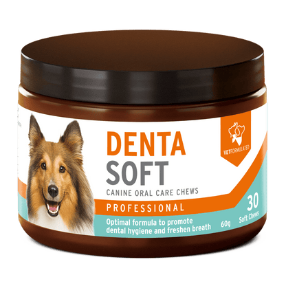 AniForte® Professional Denta Soft - AniForte UK