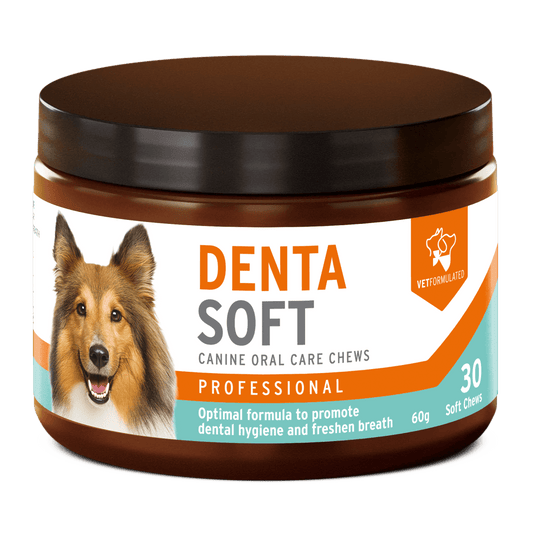 AniForte® Professional Denta Soft - AniForte UK