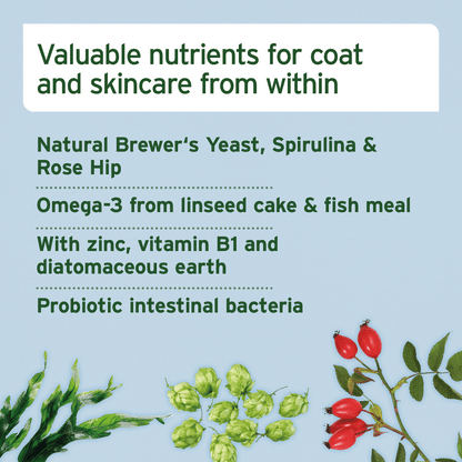 AniForte® Skin and Coat Snack - AniForte UK