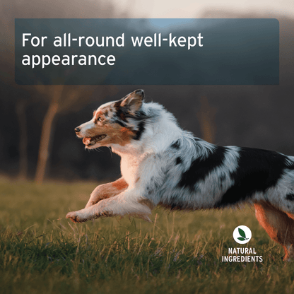 AniForte® Skin and Coat Snack - AniForte UK