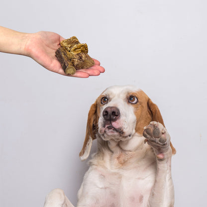 Nutriment Beef Lung