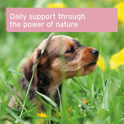 Bladder Formula Powder 100g