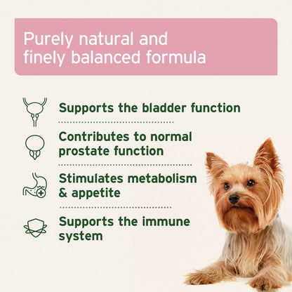 Bladder Formula Powder 100g