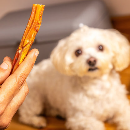 Nutriment British Pizzles "Bully Sticks" 24cm