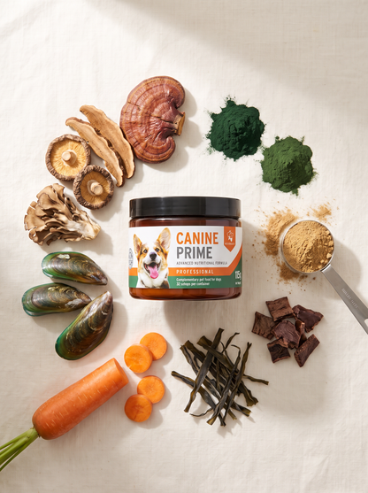 Aniforte Canine Prime