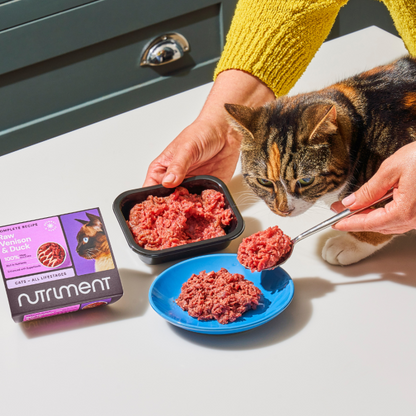 Cat Beef Dinner 175g