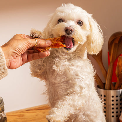 Nutriment Chicken Jerky