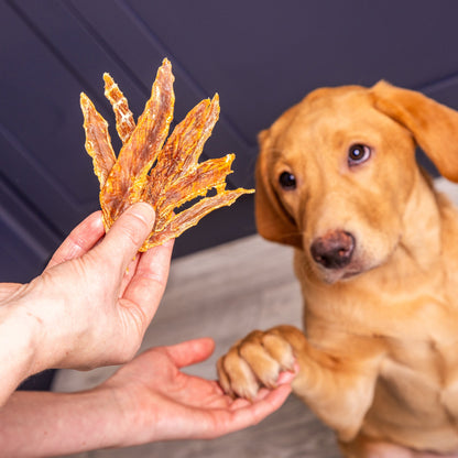 Nutriment Duck Jerky