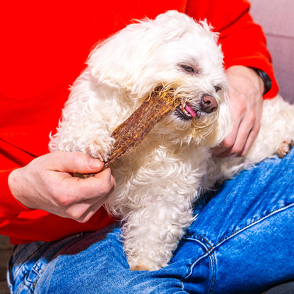 Nutriment Flat Beef Gullet