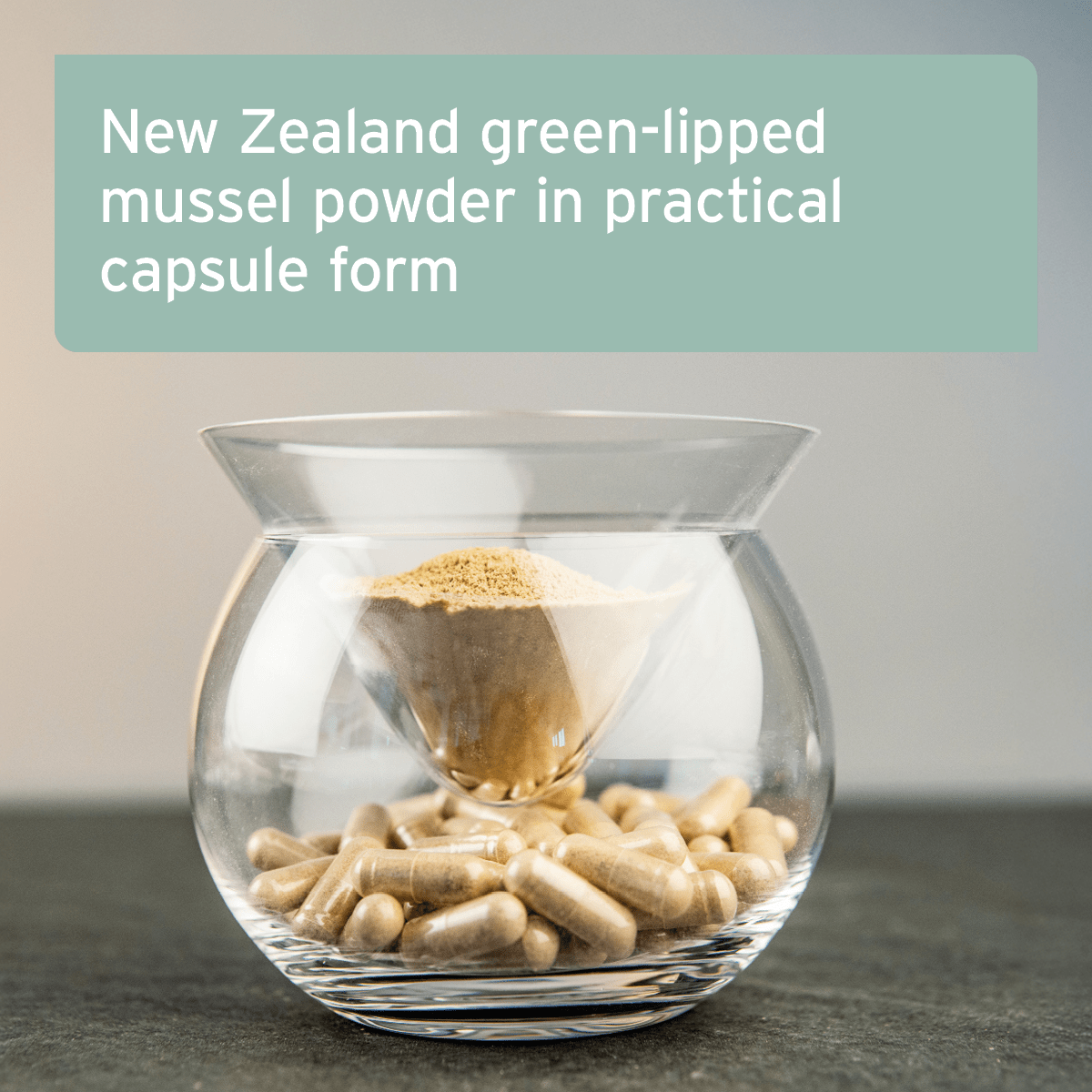 Green Lipped Mussel Capsules for Dogs - Joint Support Supplement - AniForte UK