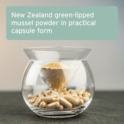 Green Lipped Mussel Capsules for Dogs - Joint Support Supplement - AniForte UK