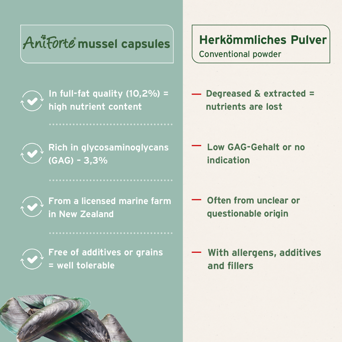 Green Lipped Mussel Capsules for Dogs - Joint Support Supplement - AniForte UK