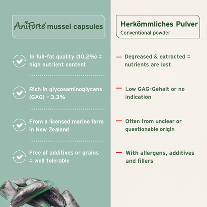 Green Lipped Mussel Capsules for Dogs - Joint Support Supplement - AniForte UK