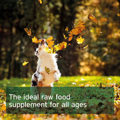 Ground Horse Bones - Natural Calcium Supplement for Dogs & Cats - AniForte UK