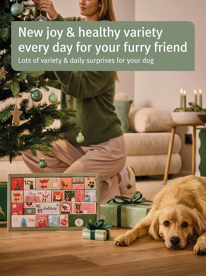 Aniforte Advent Calendar Premium for Dogs