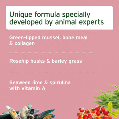 Junior Active Supplement 250g - Supports Healthy Development - AniForte UK