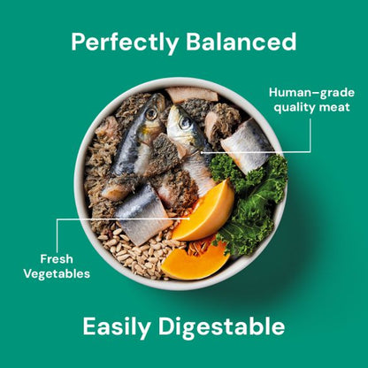 Kidney Support 500g