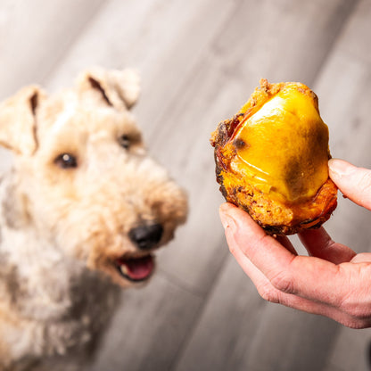 Nutriment Beef Knees "Doggy Gobstoppers"