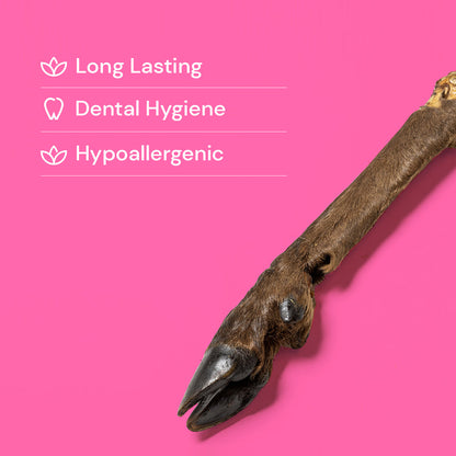 Nutriment Large Hairy Venison (Deer) Legs