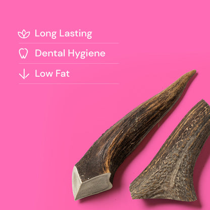 Nutriment Mixed Cut Antlers