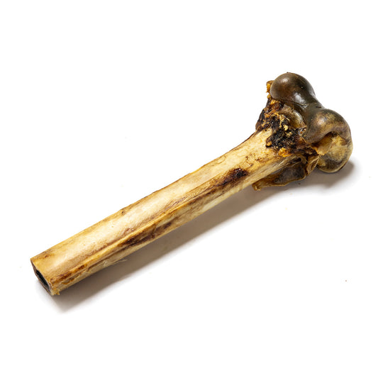 Nutriment Ostrich Bones