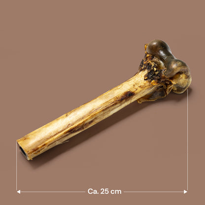 Nutriment Ostrich Bones