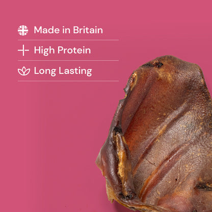 Nutriment Pigs Ears - Grade A