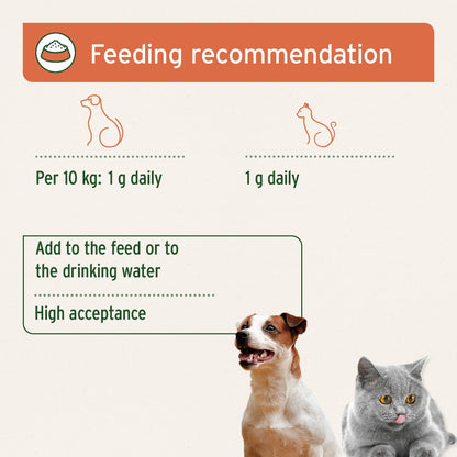 Premium Colostrum Powder for Dogs & Cats - 100g - AniForte UK