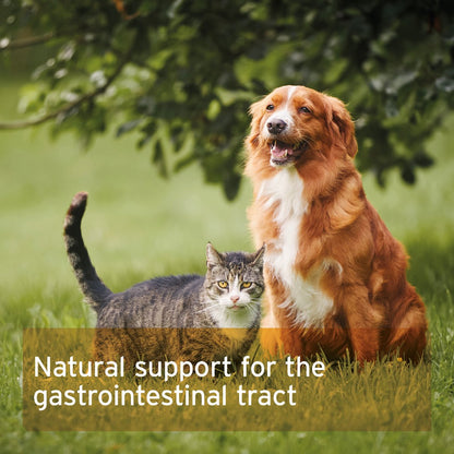 Psyllium Husks for Dogs & Cats 250g - AniForte UK