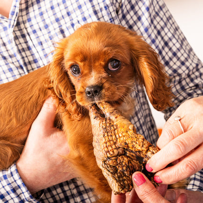 Nutriment Puffed Jerky "Beef Lung"