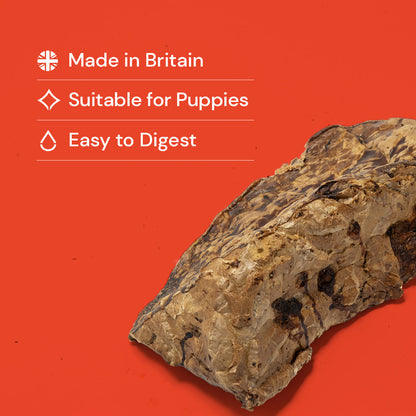 Nutriment Puffed Jerky "Beef Lung"