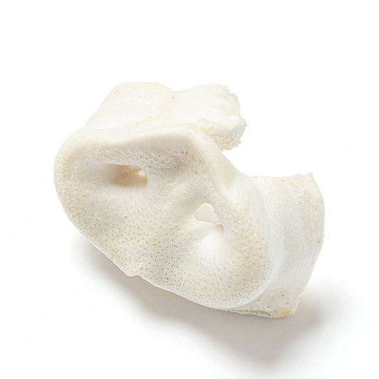 Nutriment Large Puffed Pig Snouts