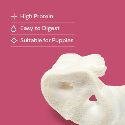 Nutriment Large Puffed Pig Snouts