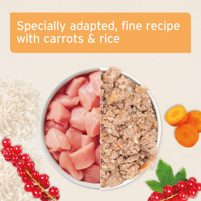 PureNature Senior Chicken - Wet food for Senior Dogs 6 x 400g - AniForte UK
