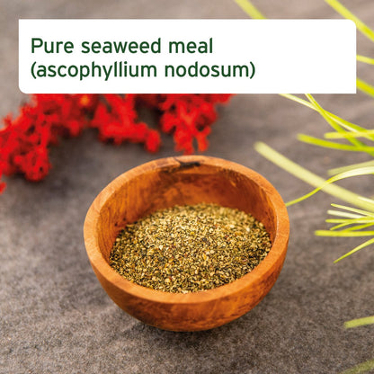 Seaweed Powder for Dogs - 250g - AniForte UK