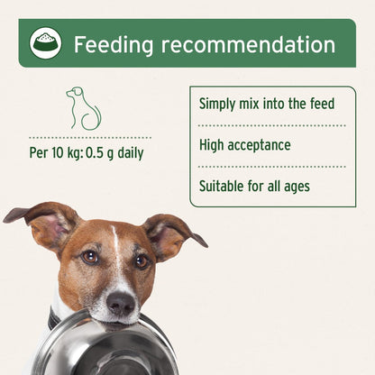 Seaweed Powder for Dogs - 250g - AniForte UK