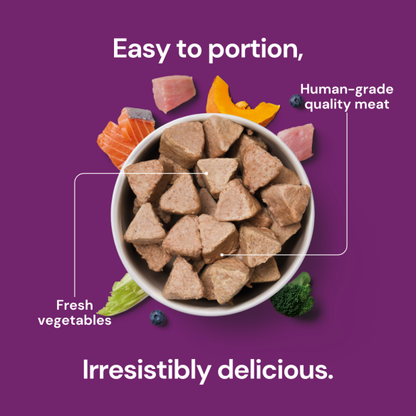 Raw Turkey & Salmon Nuggets for Senior Dogs 1kg