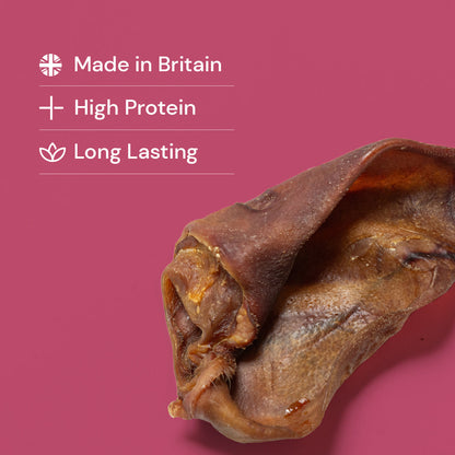 Nutriment Small Pig Ears