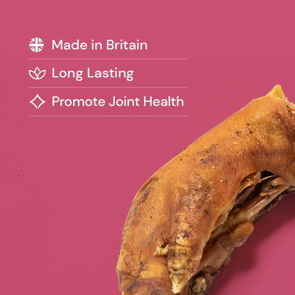 Nutriment Pig Feet "Pig Trotters"