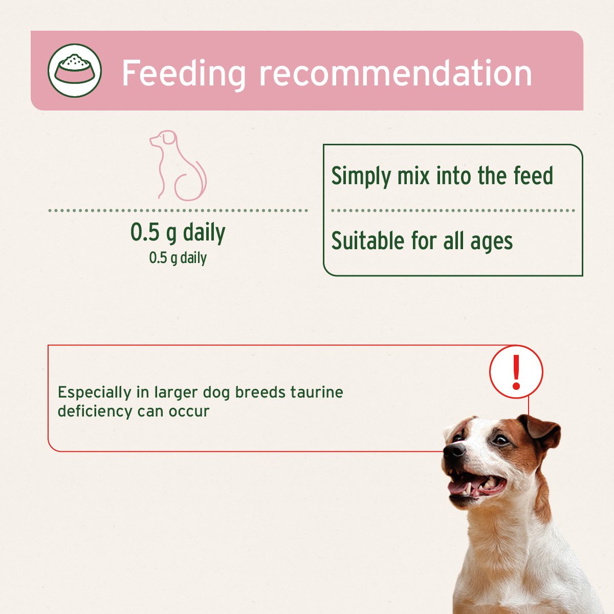 Taurine Powder for Dogs - 100g - Amino Acid Supplement - AniForte UK
