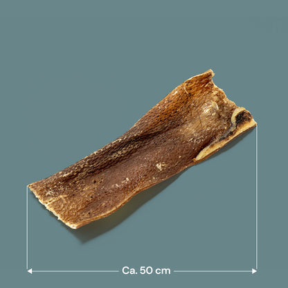 Nutriment Wild Boar Skins